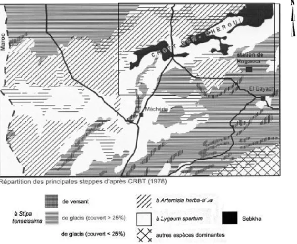 Fig. 5 : Répartition de type de steppe dans les Hautes Plaines en1978 