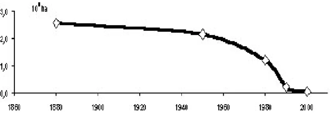Fig. 6 : Evolution des steppes d’alfa dans les Hautes Plaines du Sud-Oranais (Rogassa)                         D’après  les  statistiques communales de Rogassa, la charge réelle sur les  parcours (0,5 à 0,75 unité ovine/ha1) dépassait nettement la charge d