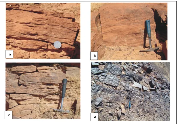 Fig. 41 : a-grès à flaser beding ; b- grès à stratification entre croisée  c- grès à HCS ; d- grès à rides lingoïdes  (Aïn Mennouna Rouiana) 