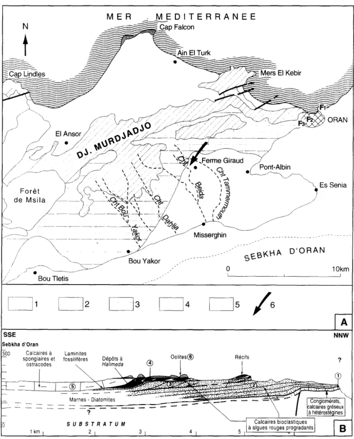 Figure  1.  (A)  Carte  g~ologique  simplifi~e  du  Djebel  Murdjadjo  et  des  environs  d'Oran  (AIg~rie),  indiquant  la  position  du  gisement  fossilif~re  de  la  Chabet  Beida  (longitude  0 0 4 4 ' 4 0  ,  W;  latitude  3 5 ° 3 9 ' 1 4   ~ N)