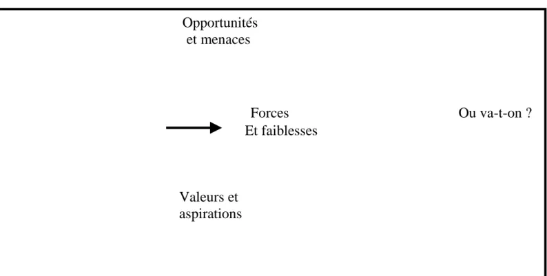 Figure 5 : le type d’analyse et mode de raisonnement du diagnostic
