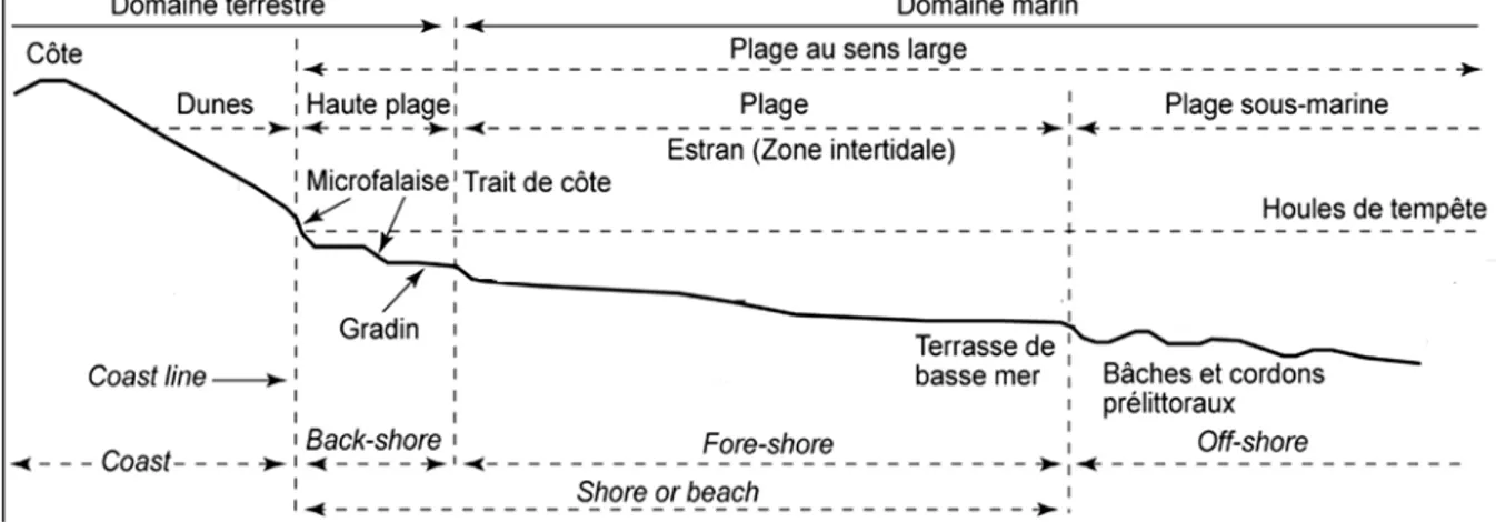 Figure  II.2.  Profil  schématique  d’une  côte  sableuse  et  terminologie  anglo-saxonne  équivalente d’après Shepard A