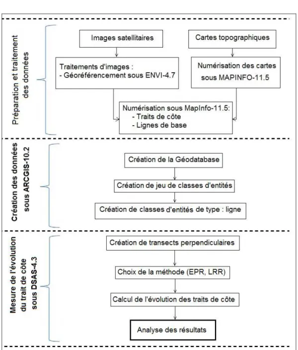 Figure II.4. Méthodologie  adoptée pour la mesure de l’évolution du trait de côte dans la  zone d’étude