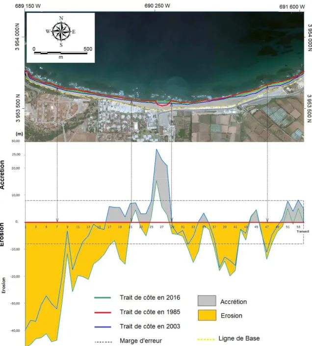 Figure  II.16.  Evolution  du  trait  de  côte  de  la  plage  des  Andalouses  entre  1985  et  2016