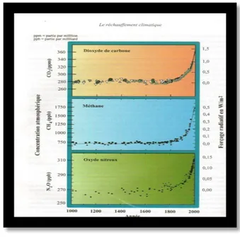 Figure 1.9. Evolution des émissions de CO2 par type de combustible (millions de t de  CO2)