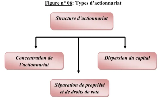 Figure n° 06: Types d’actionnariat 