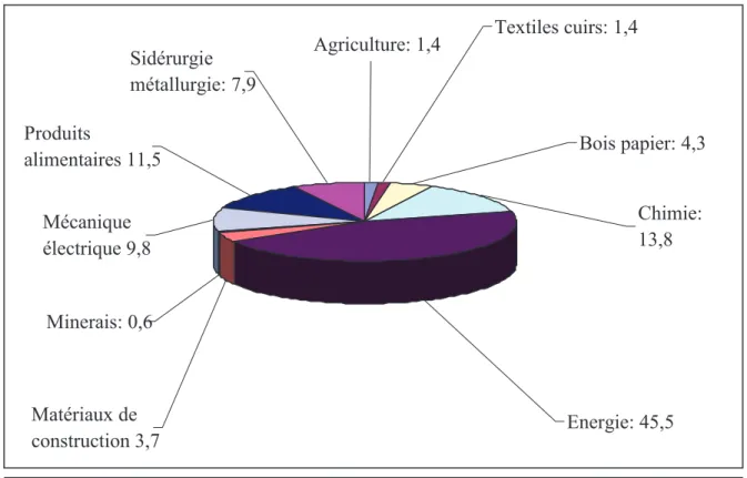 Graphique n° 8 :   Structure des échanges intra maghrébin en 2006 (en %) 