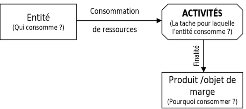 Figure 2.1.1 – L’activité consommatrice de ressources 