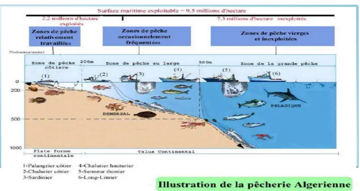 Figure II.4 : les zones de pêche dans notre pays