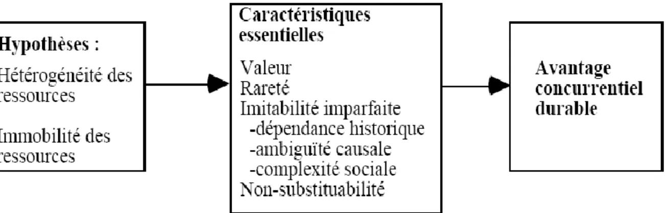 Figure 1.5 : la stratégie basée sur les ressources. 