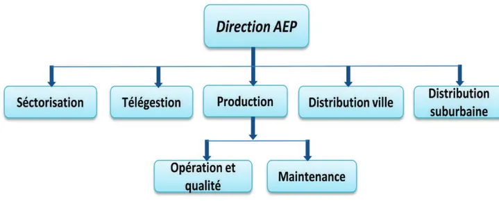 Figure 12 : Organigramme de la direction D’AEP. 