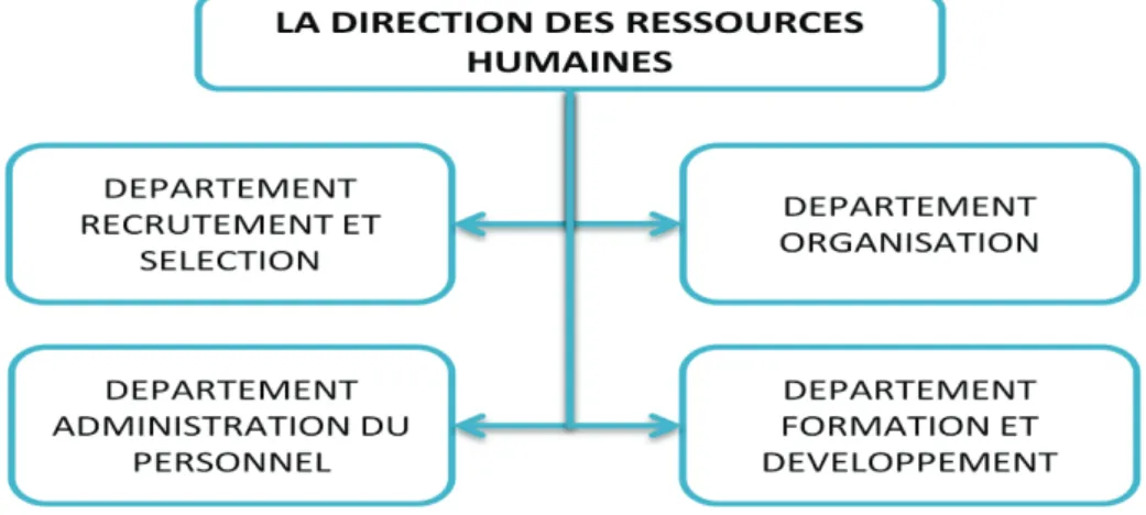 Figure 13 : Organigramme de la Direction des Ressources Humaines. 