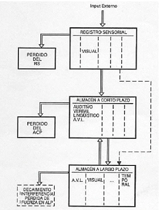 Figura 5: Estructura del sistema de la memoria, según Atkinson y Shiffrin (1968: 91).