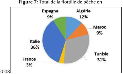 Figure 7: Total de la flottille de pêche en 