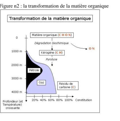 Figure n2 : la transformation de la matière organique 