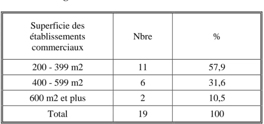 Tableau n°5 : Superficie des galeries marchandes et des   grandes surfaces commerciales 