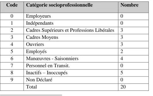 Tableau 1. Catégorie socio-professionnelle des enquêtés 