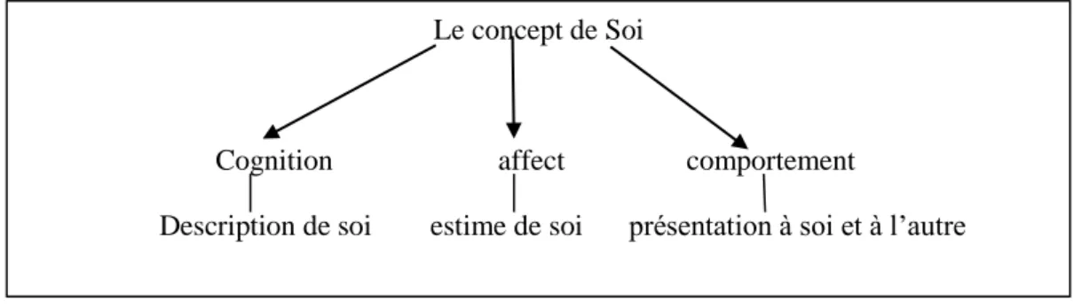 Fig. 8. Les composantes du concept de Soi 