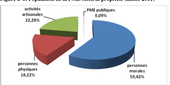 Figure n°1: Population de la PME selon la propriété (année 2011)
