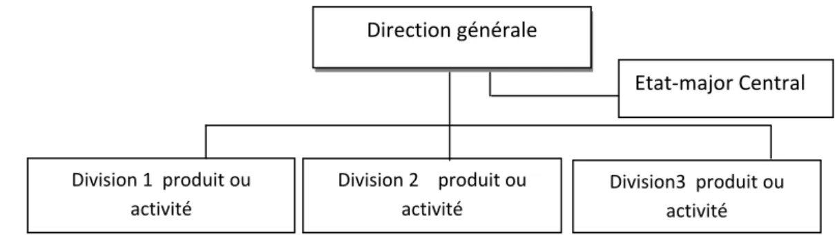 Figure 6 : structure mondiale par ligne de produits. 