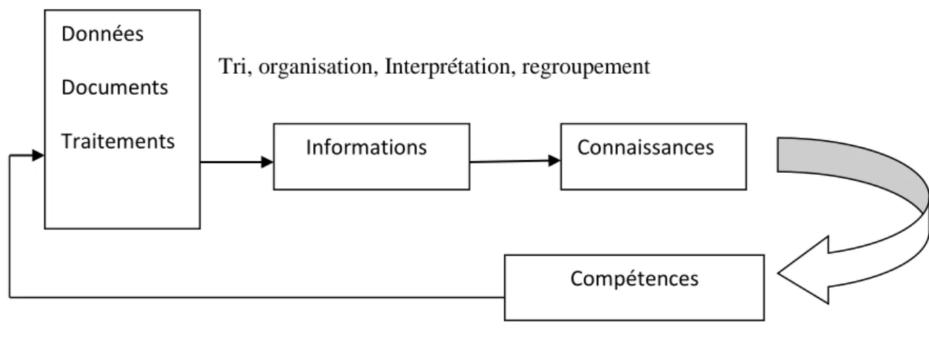 Figure n°1 : Chaine de définition de la ressource « information-connaissance »                                                                 