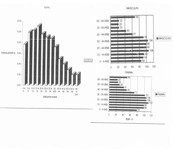 figure n°1 : Debdaba, structure de la population 