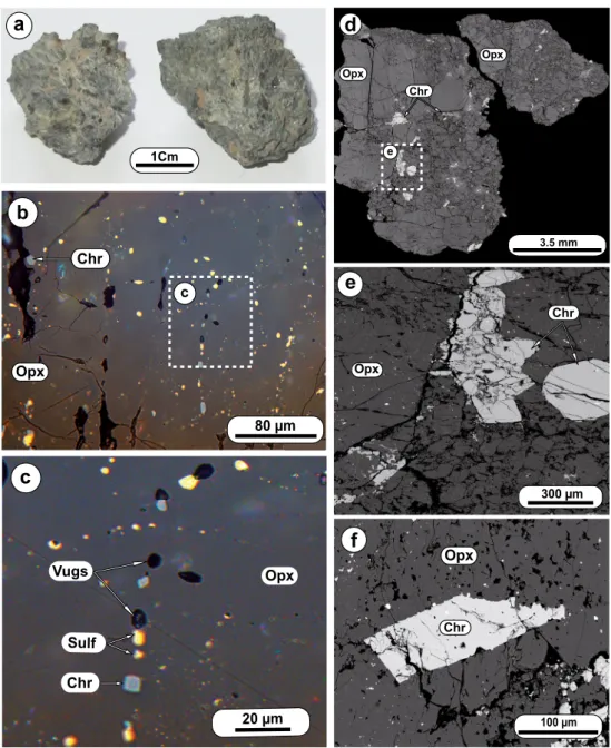 Fig. 1 a Two of many fragments of NWA 4255. b , c Optical microscope photomicrographs observed in reflected light showing small vugs associated with strings of sulfides (Sulf) and chromium spinels (Chr) are common in the orthopyroxene (Opx) groundmass
