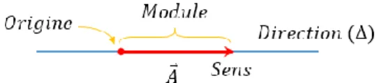 Figure 2.1 Représentation d'un vecteur 