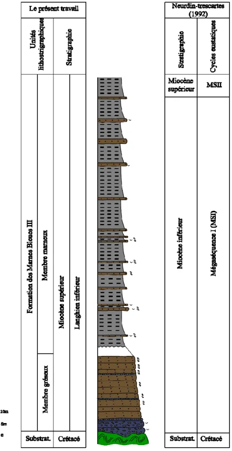 Fig. 3 : comparaison des résultats lithostratigraphiques et stratigraphiques de la coupe d’Ounsour Anhas avec les  travaux antérieurs.