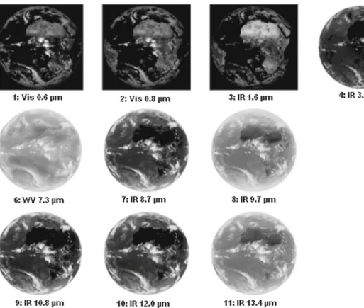 Fig. 10 A sample of one MSG3-HRIT scan acquired in June 12 2014 at 10 h 45 min UTC