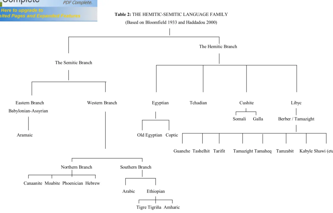 Table 2: THE HEMITIC-SEMITIC LANGUAGE FAMILY  (Based on Bloomfield 1933 and Haddadou 2000) 