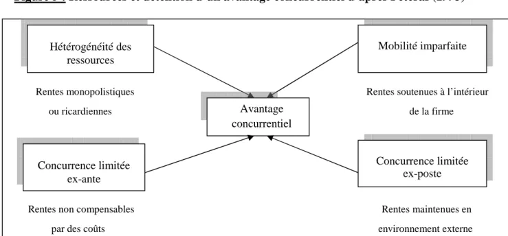 Figure 5 : Ressources et détention d’un avantage concurrentiel d’après Pétéraf (1993) 
