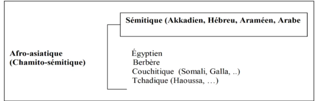 Figure 10. L’arabe dans le groupe Afro-asiatique (Chamito-sémitique) adapté de Kouloughli  (2007:7)  