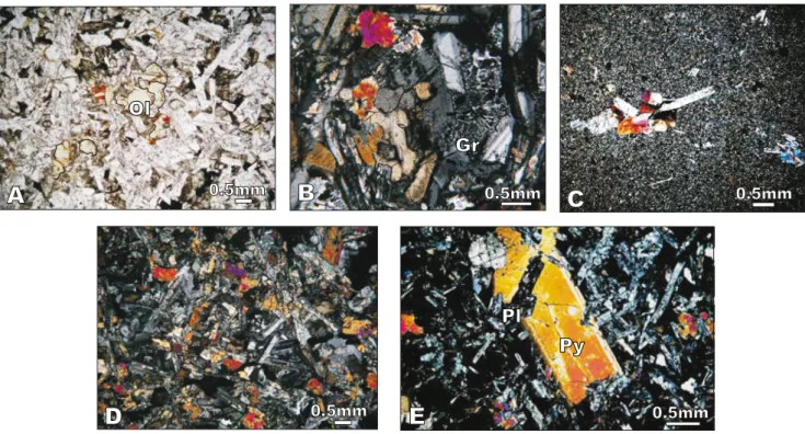 FIGURE 5. Microscopic views. A) Intergranular texture with olivine (Unit B1); B) Section showing granophyric phase (Unit B1); C) Glomeroporphyric  texture (Unit B2); D) Intergranular texture (Unit B3); E) Subophitic texture (Unit B3)
