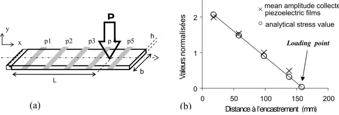 Figure 20.   (a) Schéma du point d'application de la charge dynamique et repérage des films de PVDF sur la  poutre  (b) comparaison entre les amplitudes des signaux collectées sur les films PVDF et les valeurs analytiques 