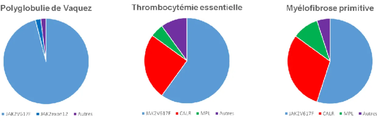 Figure 3. Panorama mutationnel des SMP BCR-ABL négatifs. 