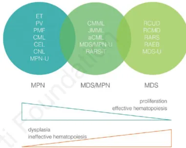 Tableau 8. Syndromes mixtes myéloprolifératifs / myélodysplasiques. 