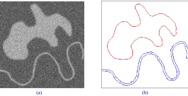 Figure 13 : Image présentant des contours courbes de type transition et ligne avec une taille de  lissage de 2, et un bruit blanc donnant un RSB de 4db (a), détection obtenue avec les  paramètres  ( s Max = 8, k l = 1.5, s Sel = 2, t 1 = 20, t 2 = 10 )  (b