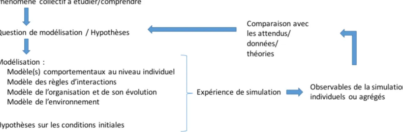 Figure 1.4 : Présentation schématique de la démarche de modélisation et de simulation multi-agents 