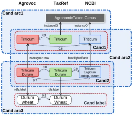 Figure 3.6 – Exemple de candidats arcs