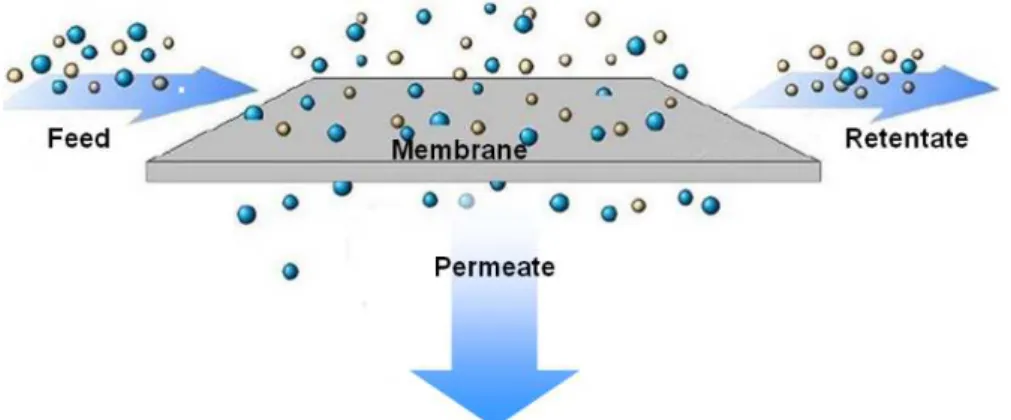 Figure 3.1: Membrane schematic functioning
