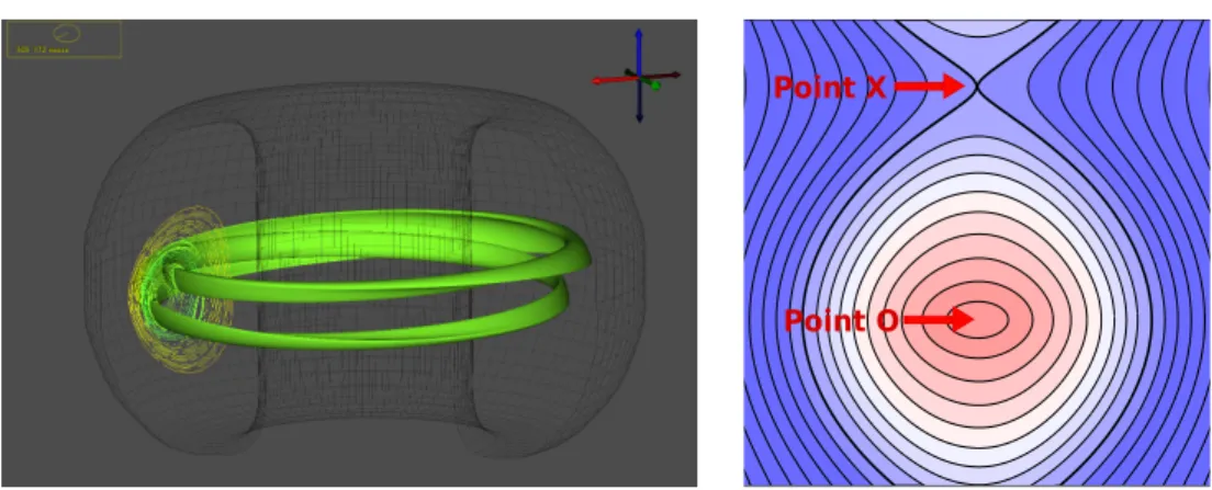 Figure 1.1.1. [Gauche]Visualisation 3D d’un îllot magnétique m/n=2/1 : On observe une portion de surface magnétique qui s’enroule à l’intérieur de l’îlot et la trace de diﬀérentes surfaces magnétiques sur une coupe poloidale
