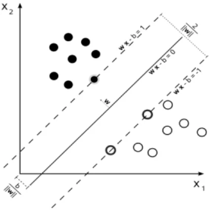 Figure 3.1: SVM looks for a prediction function, w, that maximizes the margin between classes
