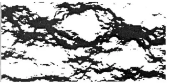 Figure 7 : Grille hétérogène parcourue par un flux horizontal. Les zones en noir sont celles  dans lesquelles la vitesse est supérieure à la moyenne logarithmique des vitesses