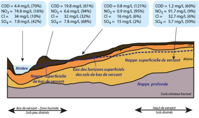 Figure 17: Profil schématique du versant de Kervidy‐Naizin mettant en évidence les 4 grandes composantes (masses d'eau)  participant au bilan géochimique du COD, NO 3 , Cl, SO 4 ...(nom en bleu). Les concentrations moyennes annuelles, et leur 