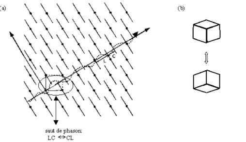 Figure 5. (a) Fluctuations bornées de l’espace parallèle : quasicristal aléatoire. (b) Un exemple de saut de  phasons dans le pavage de Penrose