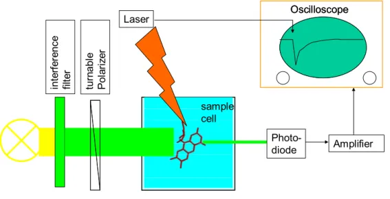 Figure 4. Schematic presentation of a transient absorption (fluorescence) setup  