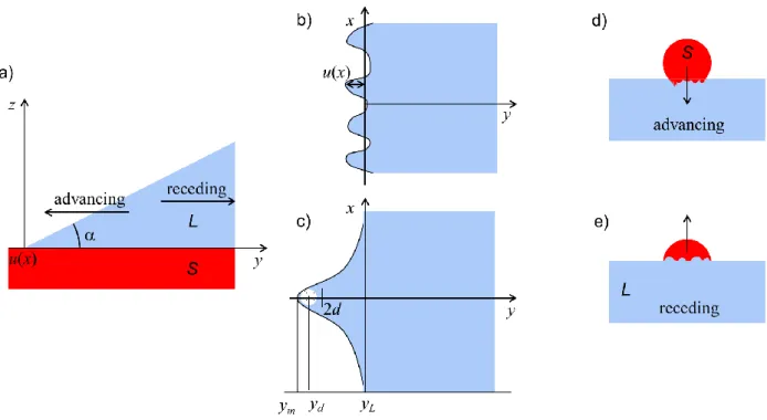 Figure 2.7  a) Side view of a drop wedge at a given contact angle    and directions of advancing and receding  contact lines b) Top view of the contact line region in absence of strong defects