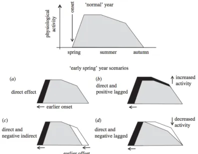 Figure 2.2 : Effet de la durée de végétation sur l'activité physiologique des espèces décidues  (extrait de Richardson et coll., 2010)