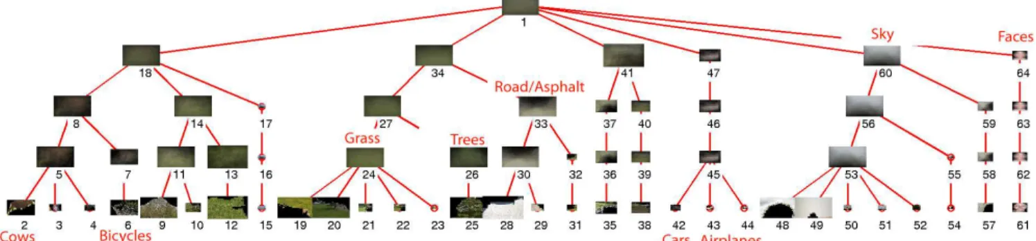Figure 3.1: A 5-level hLDA hierarchy learned on the MSRC-B1 dataset. Branches with less than 5 image segments (in distinct images) are removed from the tree